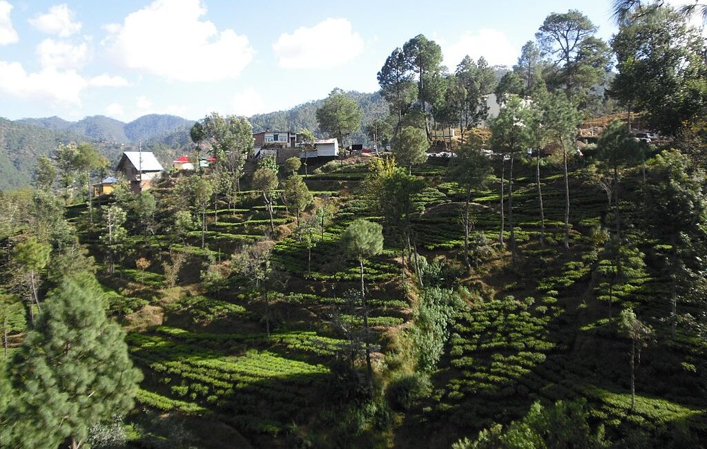 Kausani