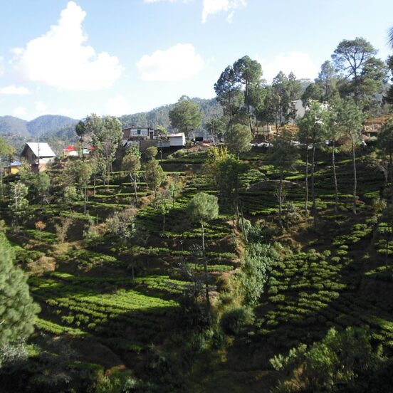 Kausani