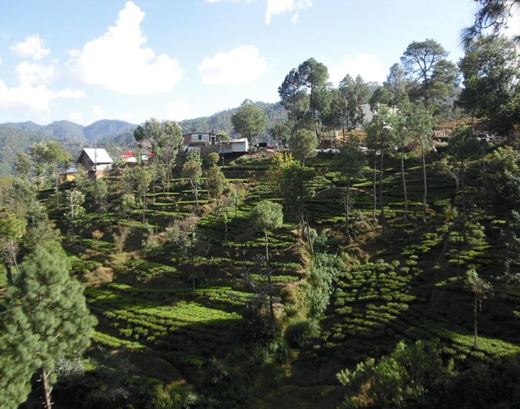 Kausani