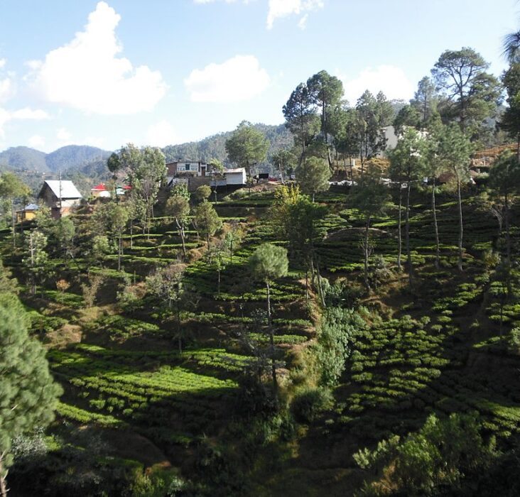 Kausani