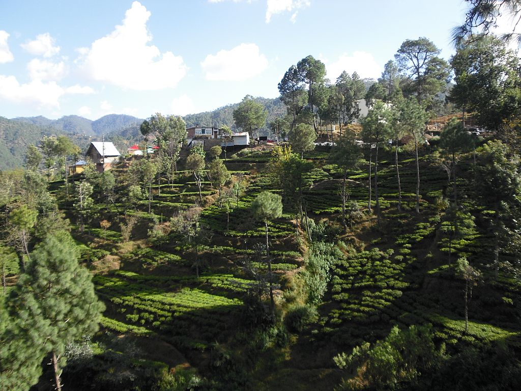 Kausani