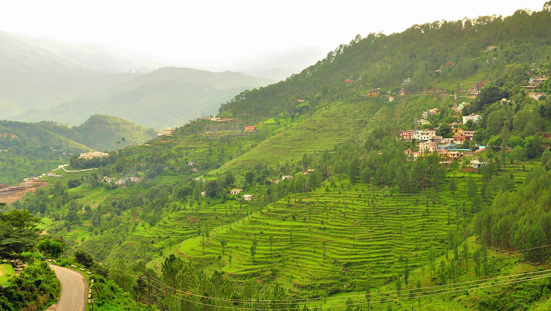 almora