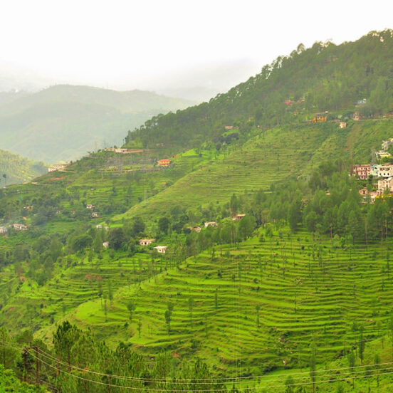 almora