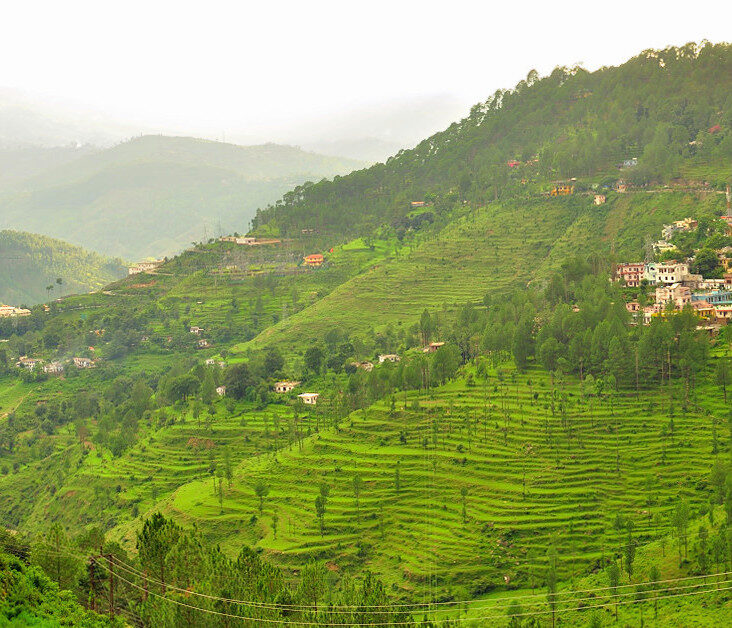 almora