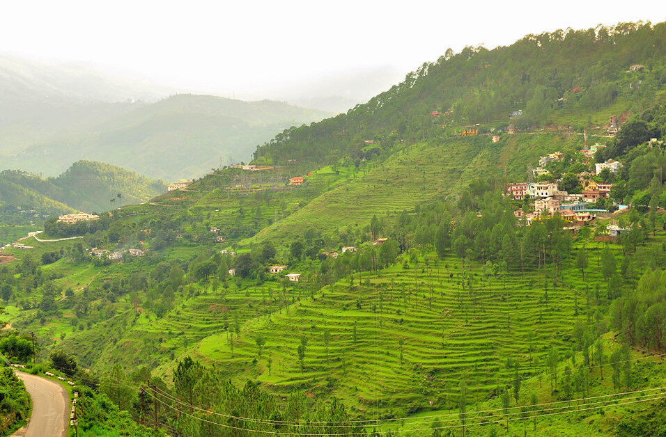 almora