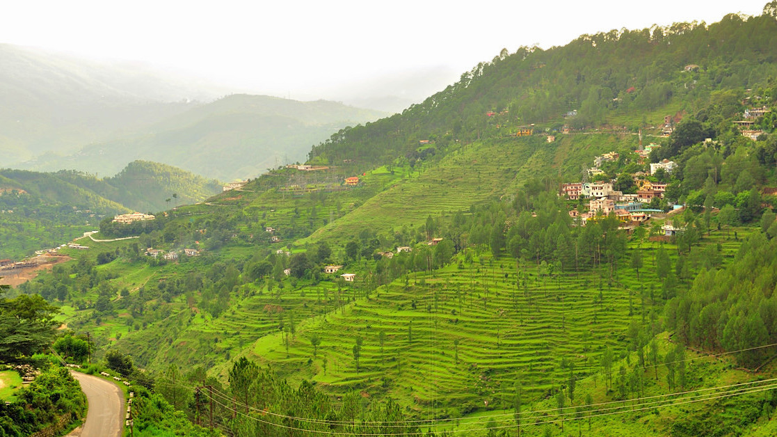 almora